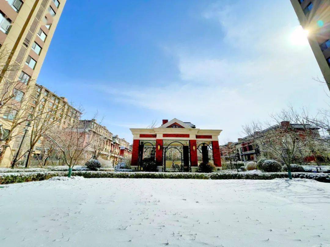 【美丽精武·美景随手拍】精武镇的雪悄悄来了,雪景赏起来~_燕南园