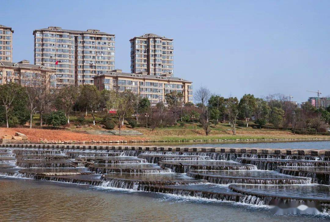 春游槠溪湿地公园