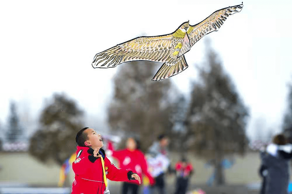 山上儿童放纸鸢 81ecd136853943b3b0daaec8410ed165.png