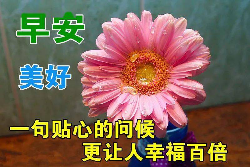 3月1日最漂亮早上好动态表情图片大全早晨好动图美图大全