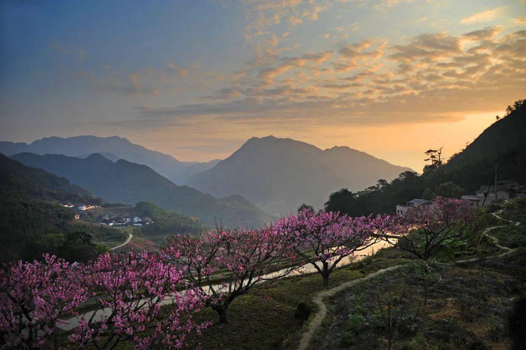 桃花開了!福安白雲山景區賞花最全攻略!_穆陽