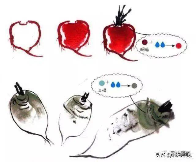 书画各种萝卜写意画法创作示范