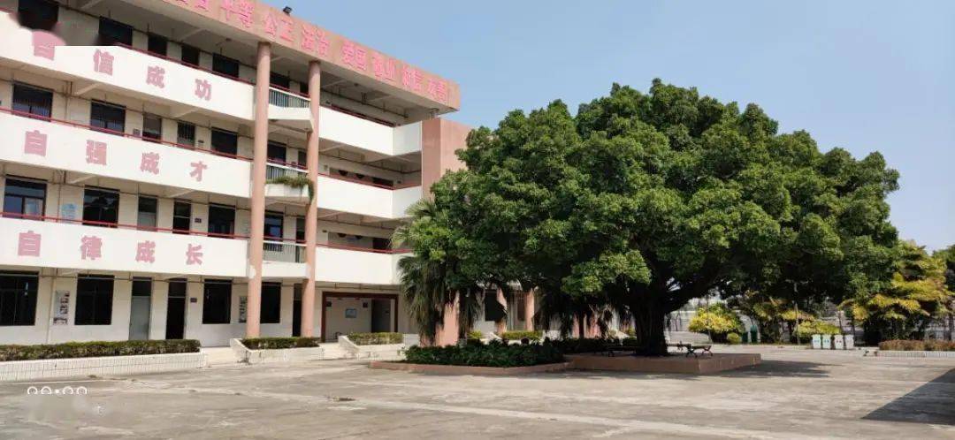 西南小学 入选2020年广东省"绿色学校".