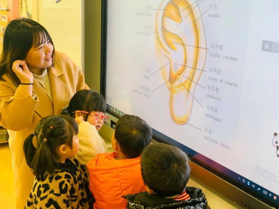 爱耳护耳,倾听未来_耳朵