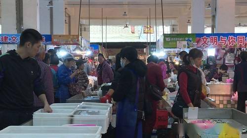 广东阳江市闸坡节后生猛海鲜价格大跳水