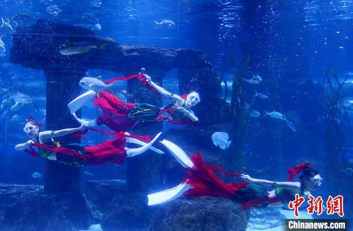 兰州“美人鱼”将敦煌舞“搬到”水下：上演“海底飞天”