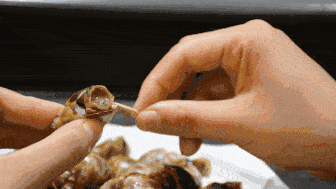 舌尖上的春日限定|春吃螺蛳正当时,鲜嫩肥美赛过鹅!