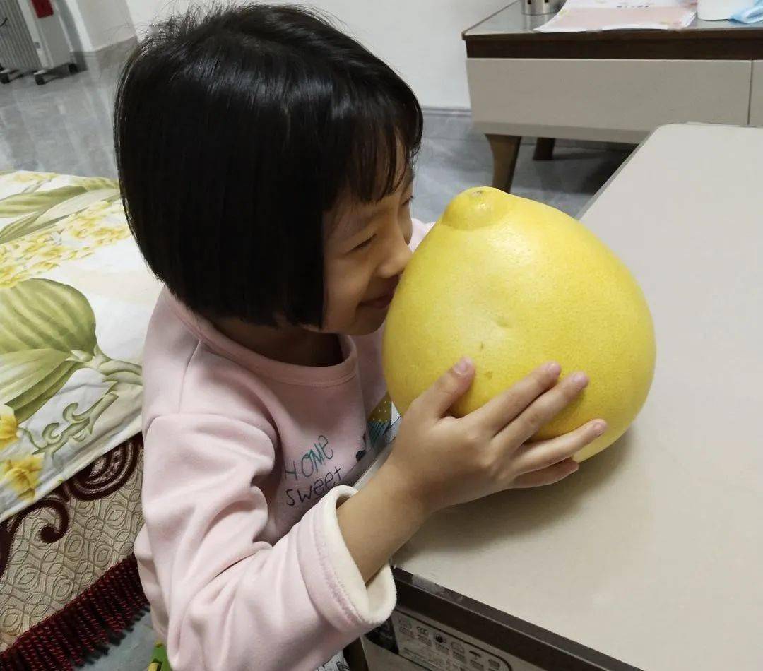 与你相遇，“柚”见美好——山东省实验幼儿园“柚”香满园项目活动_柚子