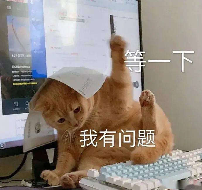 2f8327701d724a7084bea359674f64fc.jpeg