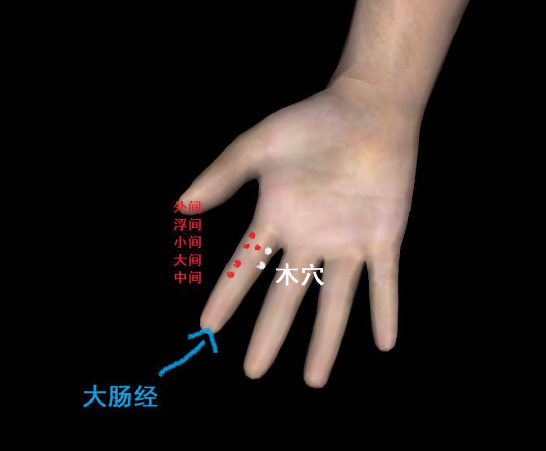 大肠与肝是别通的关系,这就很好理解为什么食指的穴位可以治疗肝经的