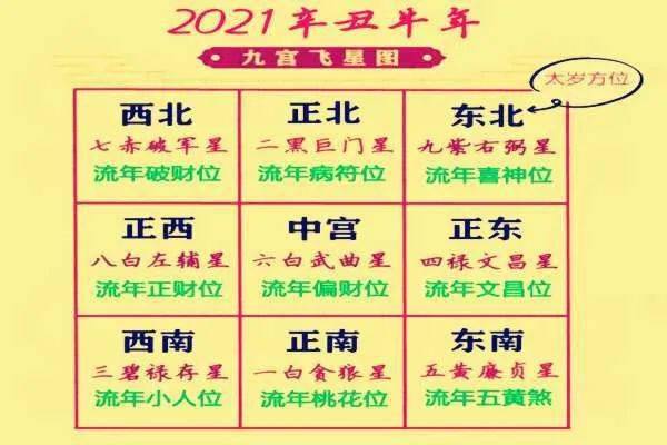 1991是什么年出生什么命 1991年是什么命的人