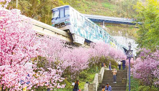 重庆“开往春天的列车”引爆网络