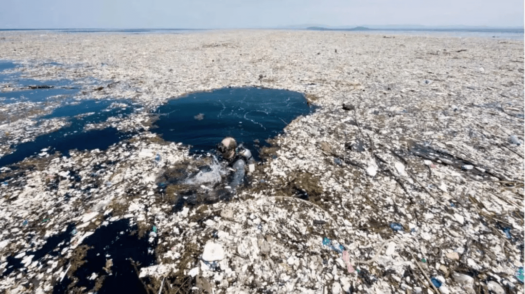 豆瓣9.2的纪录片:我们扔掉的垃圾,极有可能回到孩子的餐桌上……_塑料