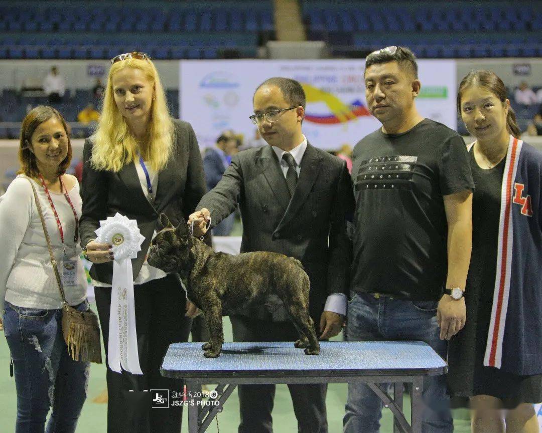 与犬共舞系列访谈之大明星犬舍联合创始人翟玲玲