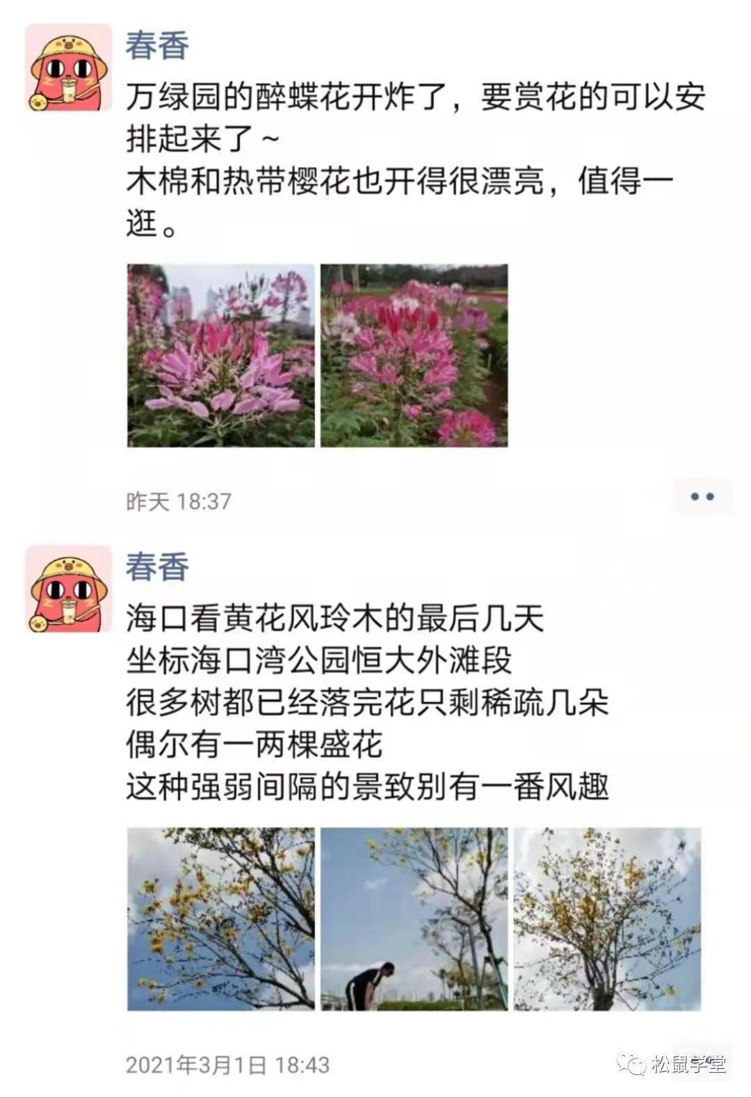 春光无限好曲谱_春光无限好