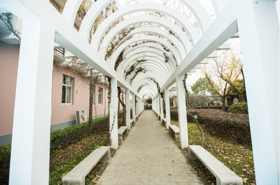 周浦校区陆家嘴校区崂山小学始建于1961年11月的黄浦区崂山路第二小学