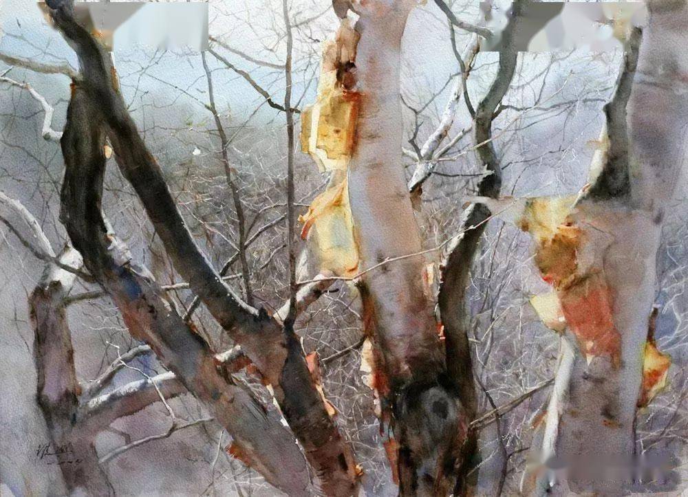 水彩大家关维兴