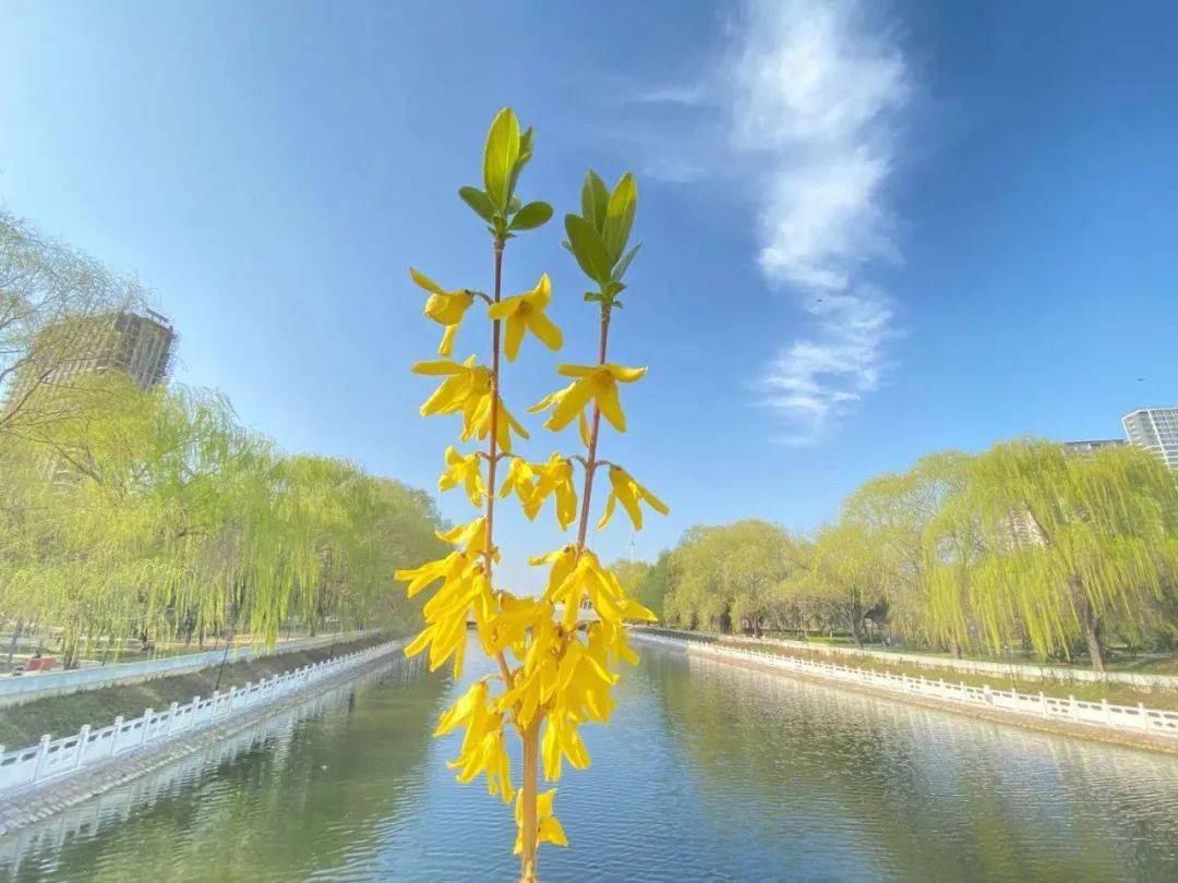 清潩河天寶河提雙龍湖公園位於河南省許昌市經濟開發區,地處許昌城市