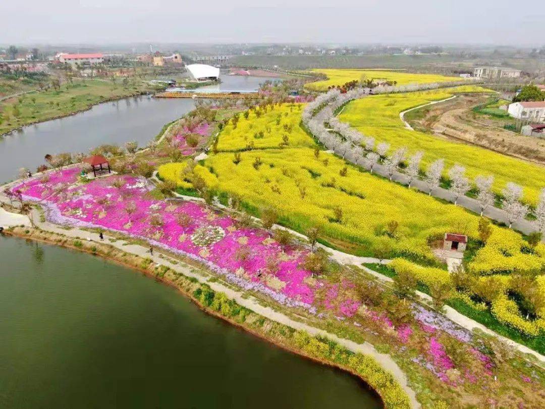 樱您而来盛世闻樱2021年首届樱花国潮美食节来了