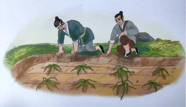 成语拔什么水_成语故事简笔画(2)