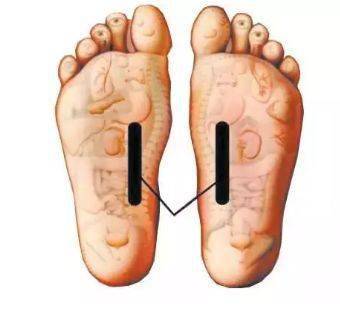 脚上的地筋在什么地方 47ed54d28eb64b929eb3124ed17591dc.jpeg