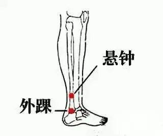 。悬钟穴：又名绝骨穴，足少阳胆经穴位，位于外踝尖上三寸，左右各一。
