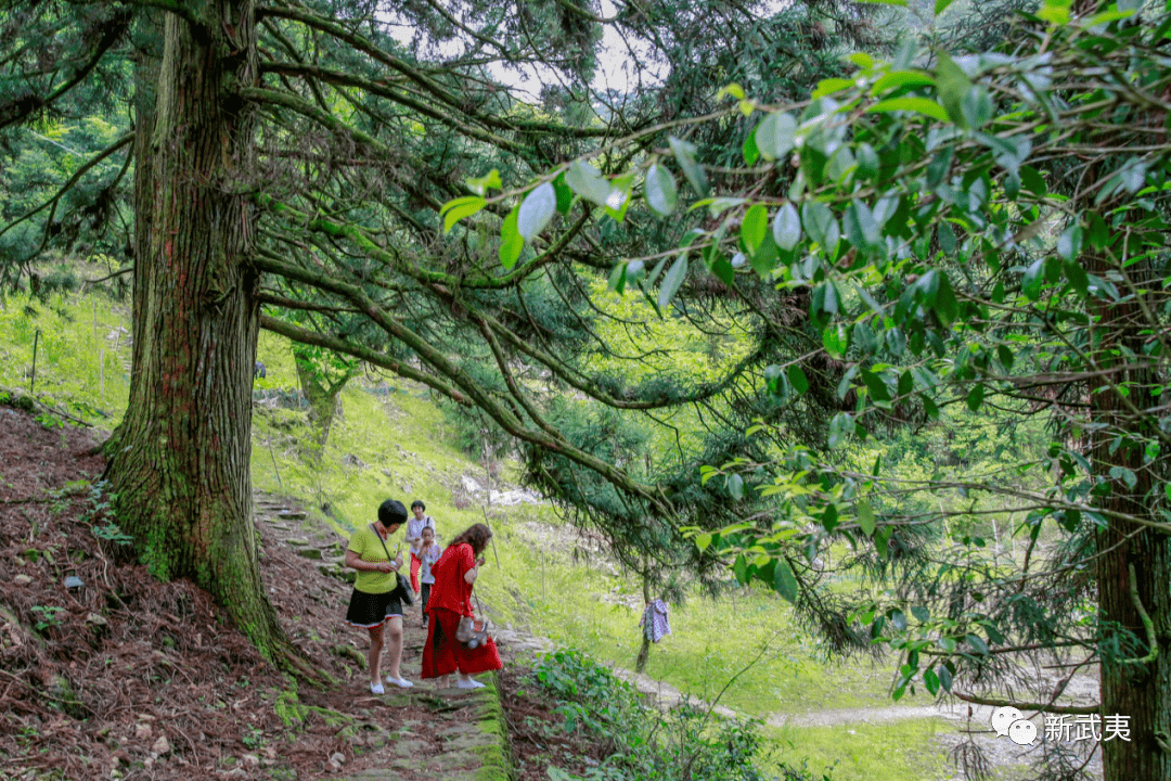 四賢頂《遠眺蓮塘坂村》《美麗的雙同村》《遠眺卝山美景》《卝湖秋景