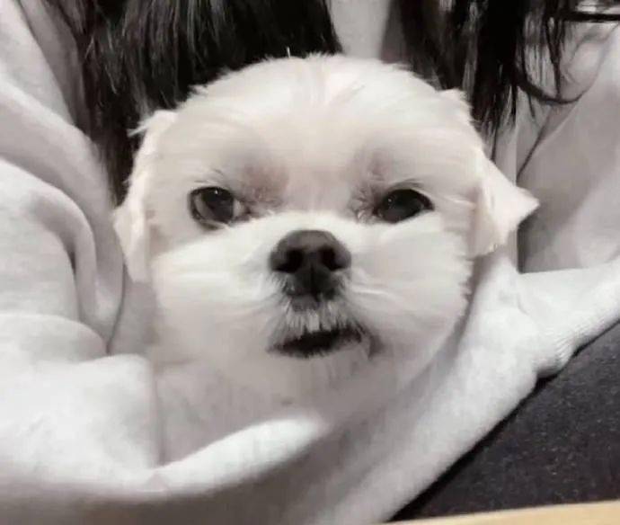 三年之期已到恭迎各位歪嘴战神归位