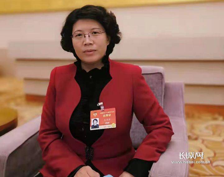 燕赵创新策丨代表委员共话开新局②投资消费双驱动供给需求两呼应