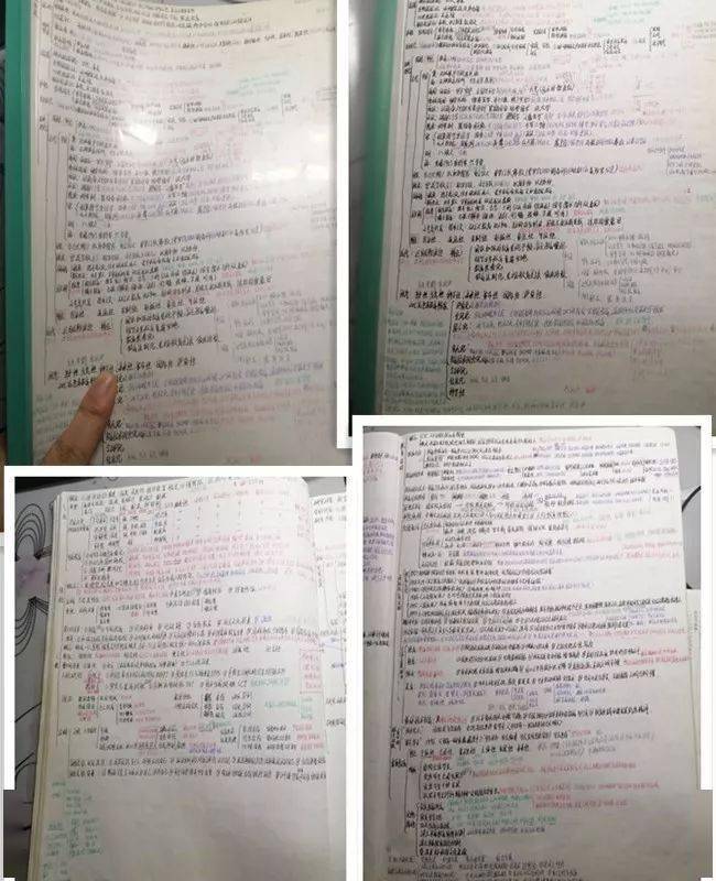 c2188c79bb5a4817a08ea1e222c43009.jpeg
