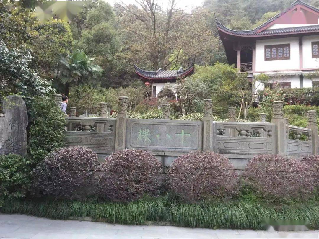 临官2021年头采西湖龙井欢迎您尝鲜