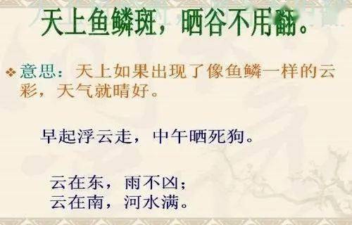 什么成俗成语_成语故事简笔画(2)