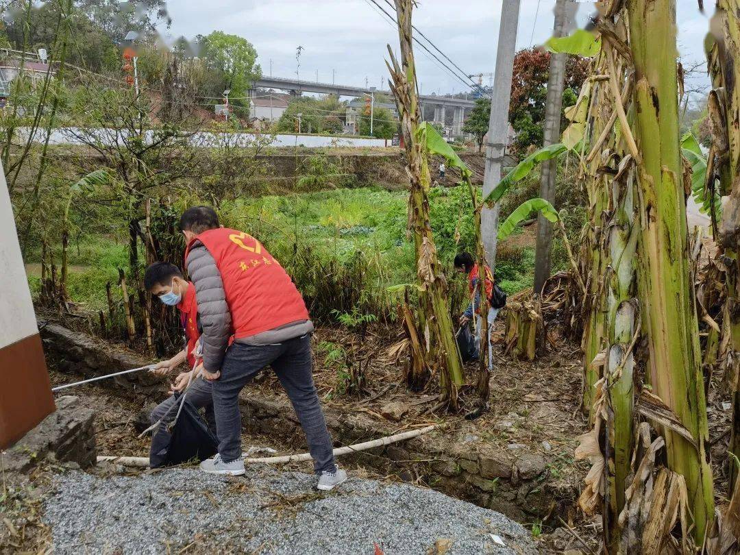 黨有號召團有行動龍川志願者助力鄉村振興