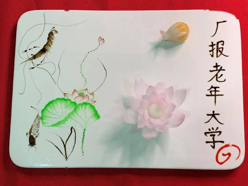 广报老年大学的冬荷开花了 快来拍 摄影