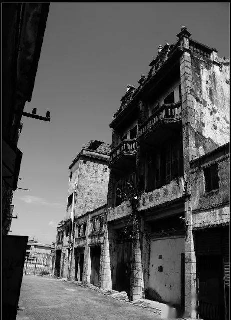 乡村振兴看龙华从观澜河观时代之澜