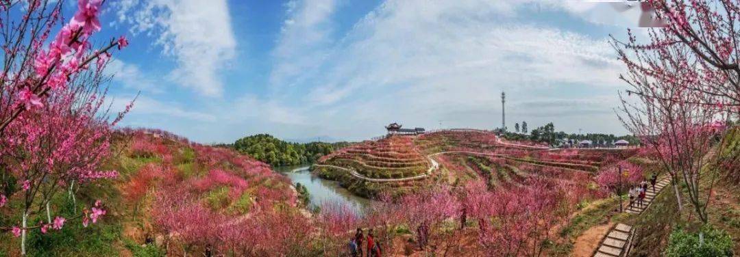 醴陵清水江桃花园图片