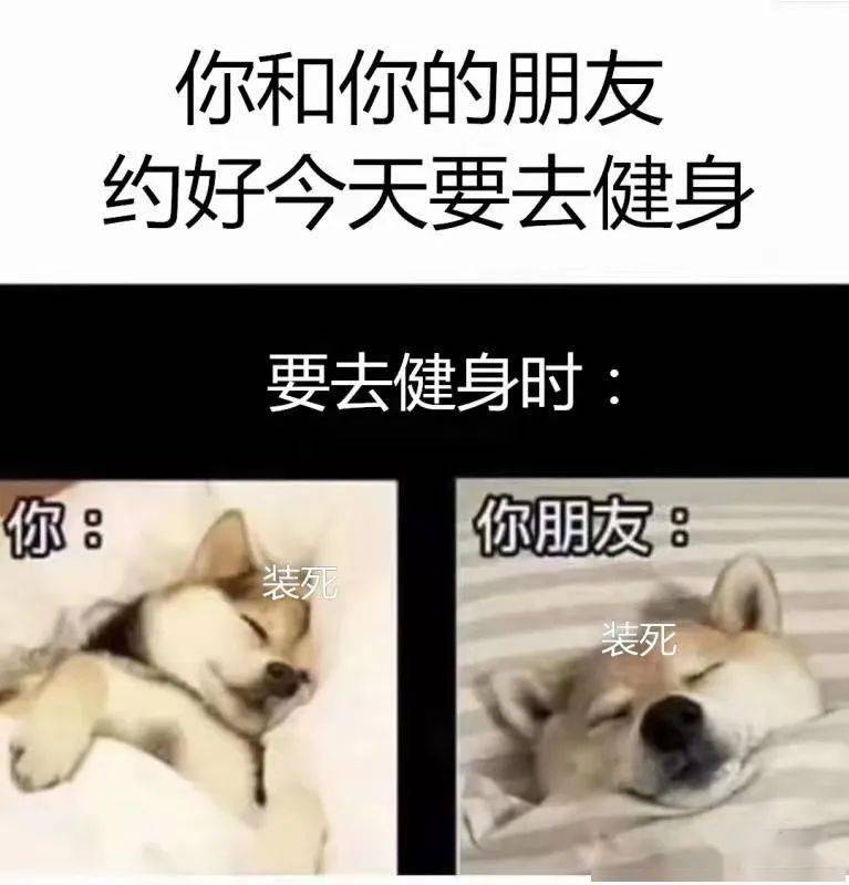 健身房的黑话能有多骚不懂都不好意思健身了