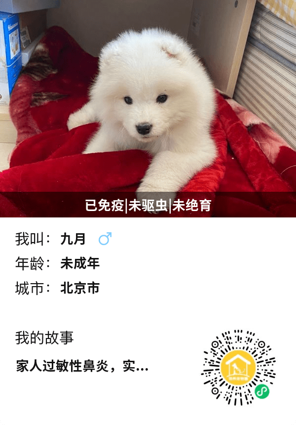 c35f9f81047e48839020c737afbf6a3e.png