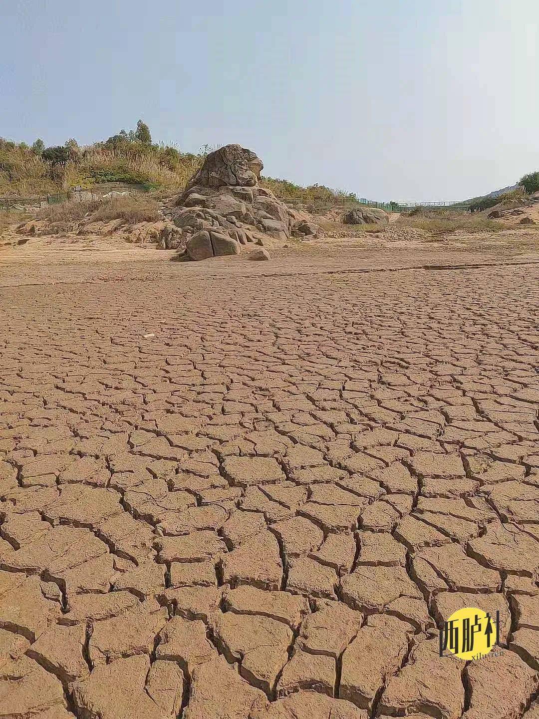 潮汕地区干旱图片