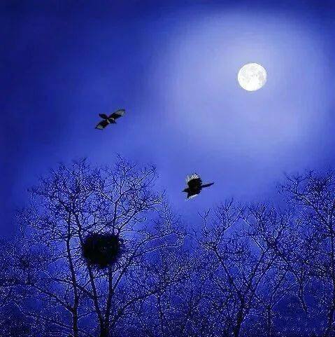 云天社精品悦读落月文陌上挽幽