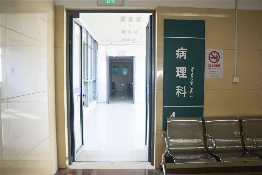 【小南话科普】病理报告为什么不能立等可取?_标本
