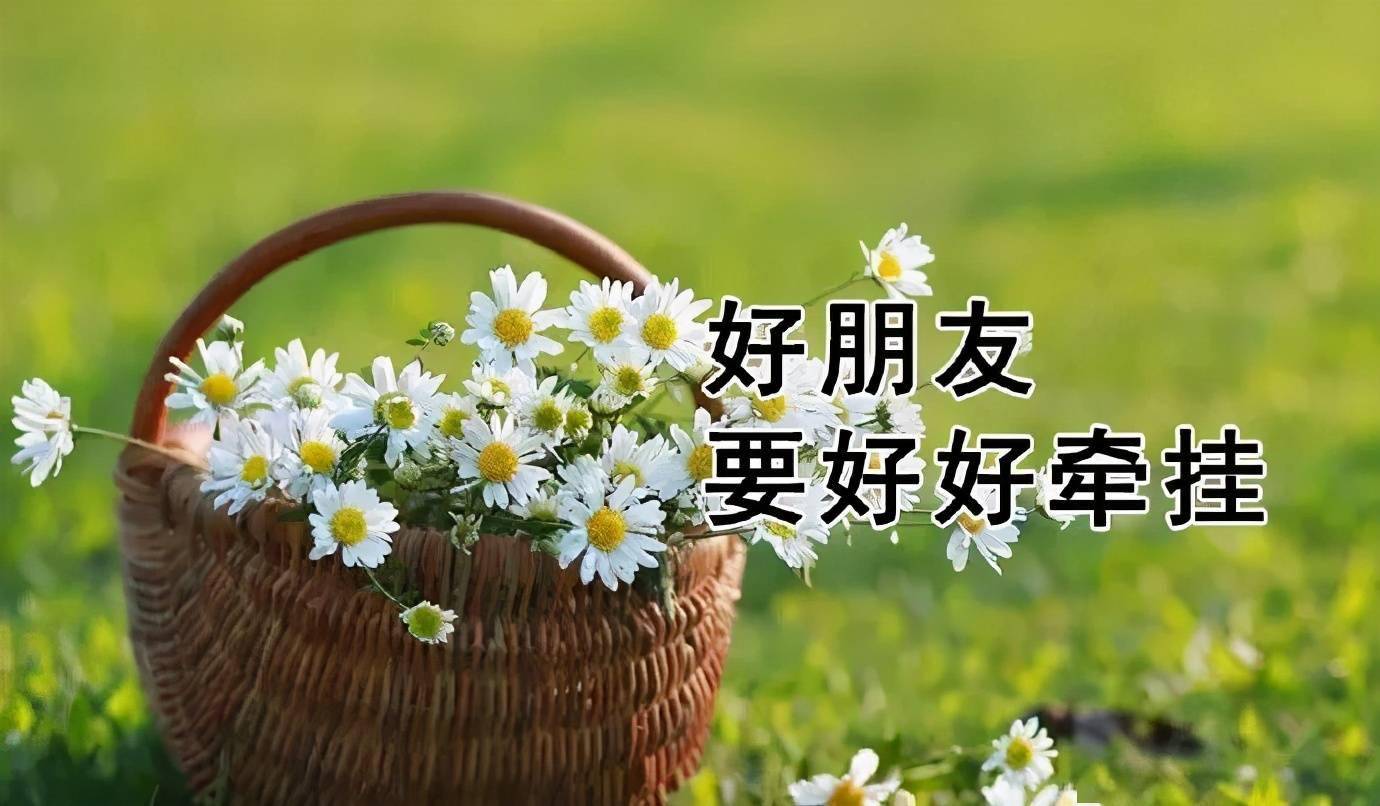 早晨安好:边走边忘,才能感受到每一个迎面而来的幸福,早安