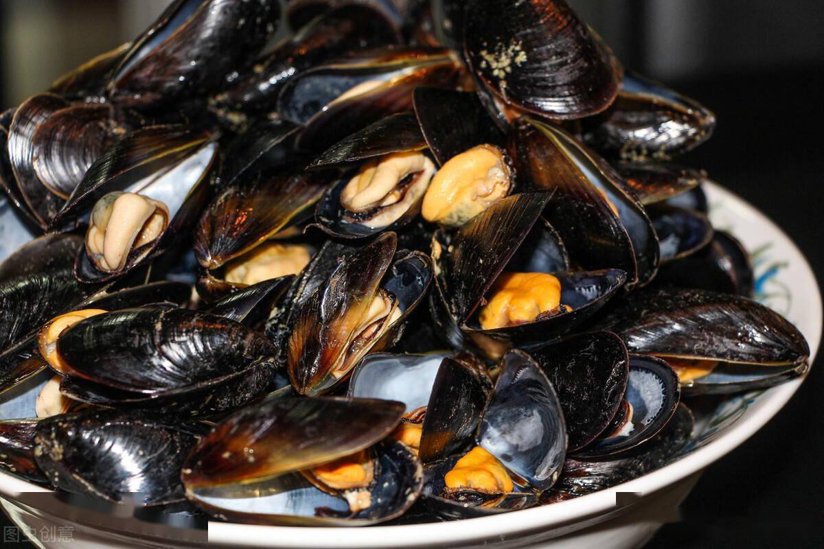 春季吃海虹万万不能直接加水煮教您正确的做法鲜嫩还有营养