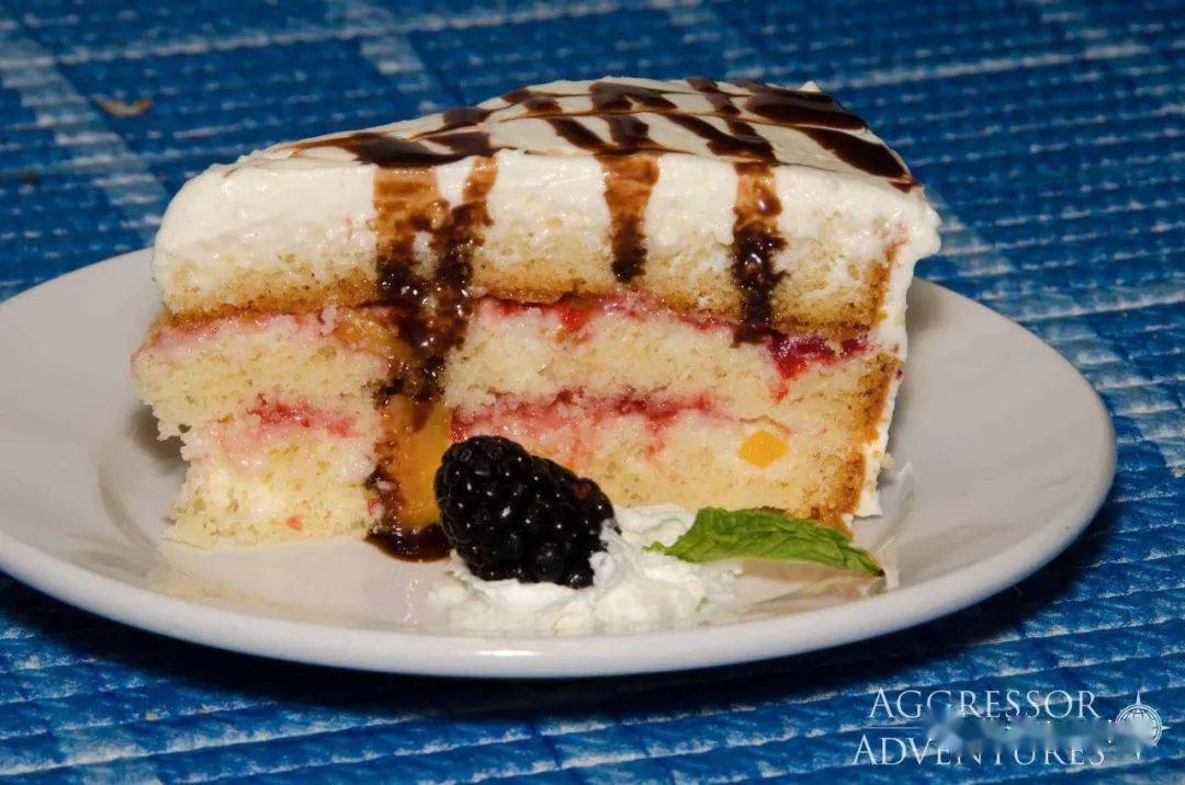 多米尼加船宿 | 与座头鲸同游,探秘神奇加勒比 turks & caicos