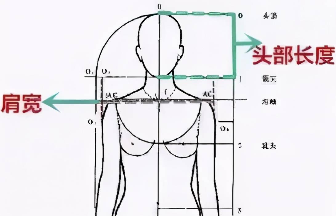 对于女生来说,1.5倍是最理想的头肩比,超过2倍容易显壮,低于1.