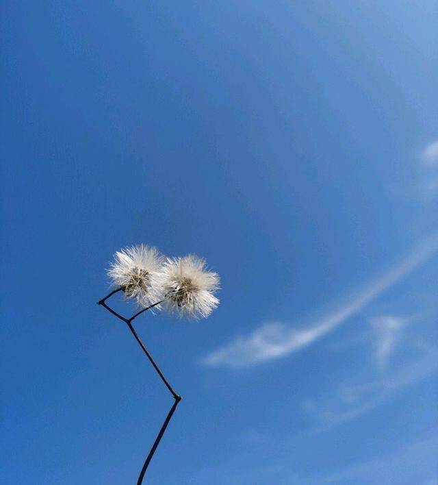 37ba2ecb66ae481a80e0a994ac498536.jpeg