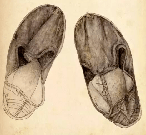 悦读| 鞋子_草鞋