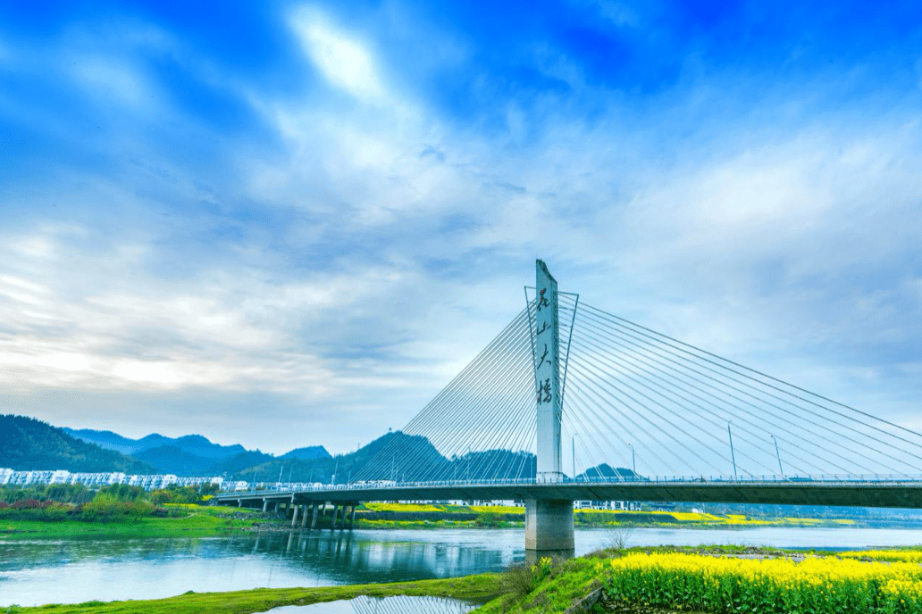 屯溪区油菜花开遍地金乡村旅游好风光