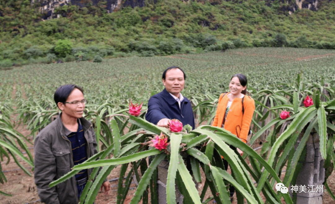 江州区黄朝能:居民群众的"贴心人"