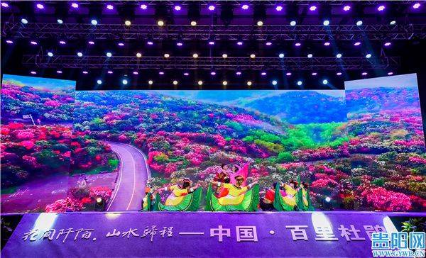 贵州百里杜鹃2021年杜鹃花季3月15日开幕